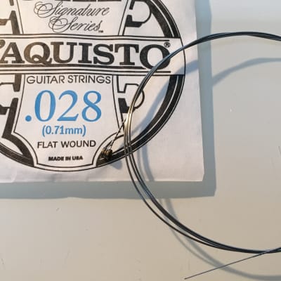 D'Aquisto RARE Jazz Signature Series String .028" Flatwound image 2