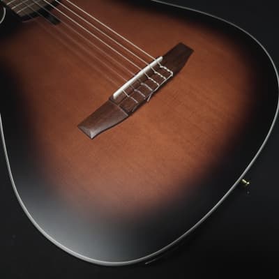 Ibanez FRH10NL Nylon-String Acoustic-Electric Left-Handed Guitar w/Non-Original Gig Bag image 11
