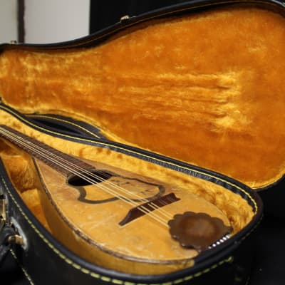 Georg Haid Mandolin Made in Germany Vintage image 13
