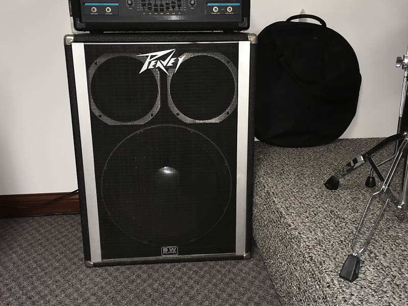 Peavey 1810 Bass Enclosure Reverb