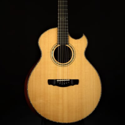Ryan Cathedral Grand Fingerstyle - Sitka Spruce & Indian Rosewood 2003 *VIDEO* image 2
