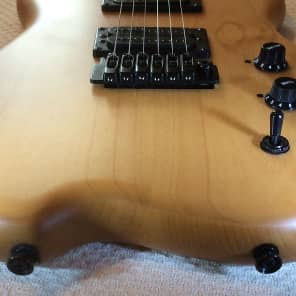 Carvin H2T Holdsworth Model with Tremolo image 4