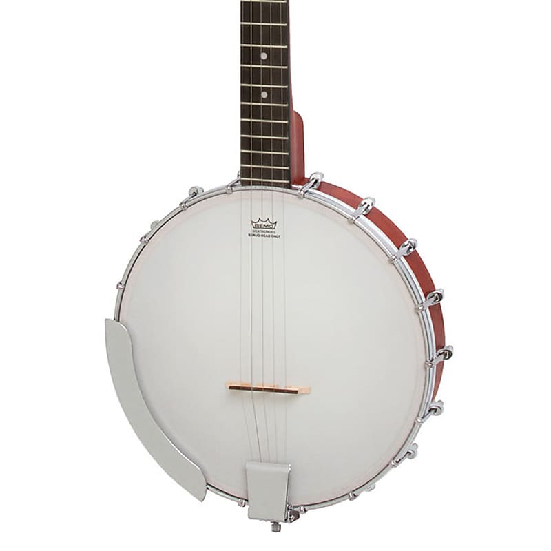 Epiphone MB-100 Banjo image 1