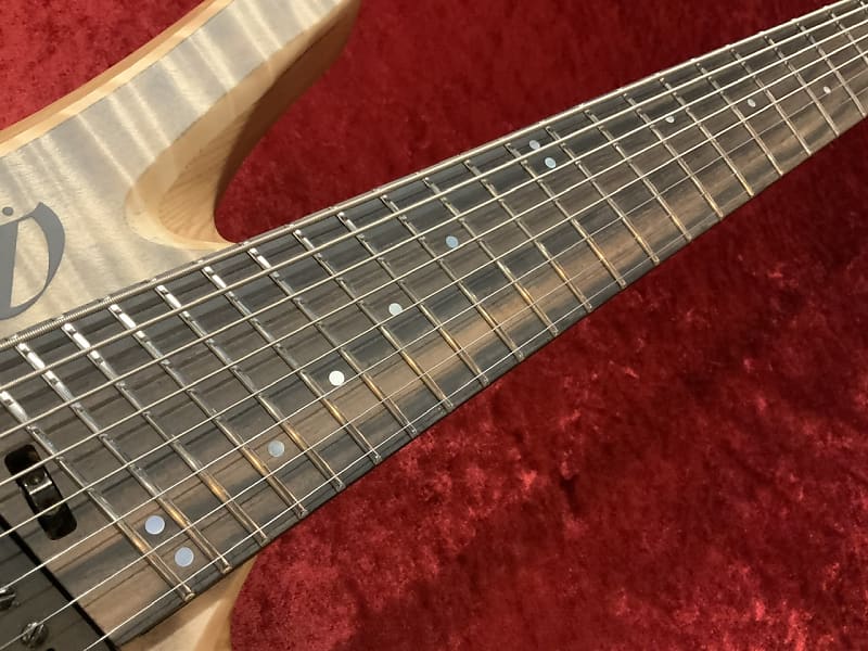 Overload Custom Guitars Themis 8 Custom [GSB019] 2022 | Reverb