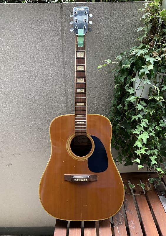 Takamine TW-20 Elite Japan