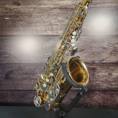 Selmer AS500 ALTO SAXOPHONE OUTFIT Alto Saxophone (Edison