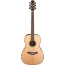 Takamine GY93E-with Pick up Natural Parlor-Style New Yorker Body