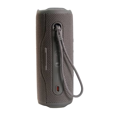 JBL FLIP 6 Wireless Portable Waterproof Speaker - Gray + JBL T110 in Ear Headphones Black image 4