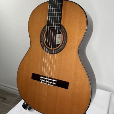 Antonio Picado Model 53 Classical Guitar Cedar & Rosewood w/case *made in Spain image 1