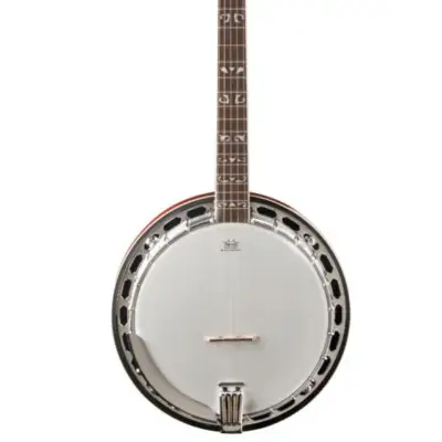 Washburn  B16 Americana Series (5 String Banjo). Tobacco Sunburst image 2