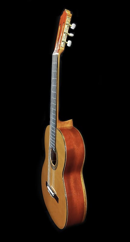 Luthier Built Torres Concert Classical Guitar - Cedar & Padauk image 1