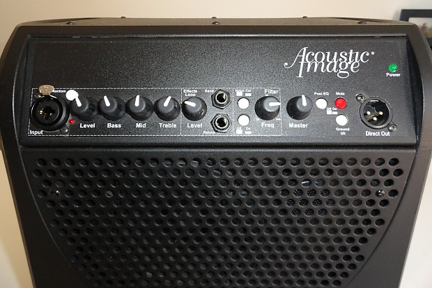 Acoustic Image Contra Series III upright bass amp | Reverb