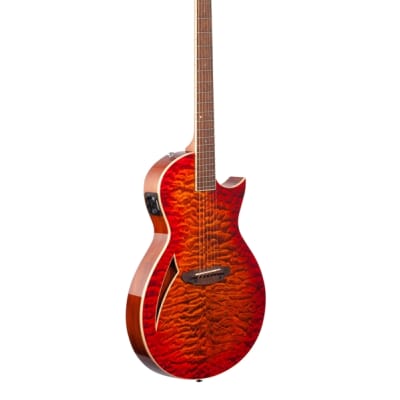 ESP LTD TL6QM Acoustic Electric Thinline Guitar Tiger Eye image 8