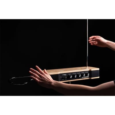 moog [GW Gold Rush Sale] Etherwave Theremin (MG EW THEREMIN) + Stand Set image 8