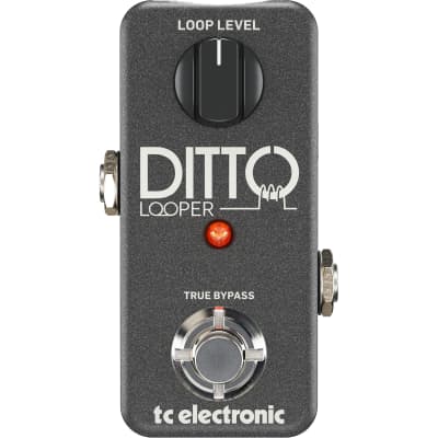 TC Electronic Ditto Looper Guitar Effects Pedal image 1