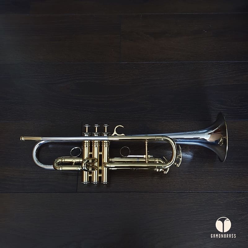 Mid 60's King Super 20 Symphony Silversonic Dual Bore trumpet | Gamonbrass  | Reverb Canada