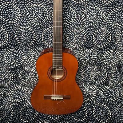 Stagg classical acoustic guitar w/chipboard case image 1
