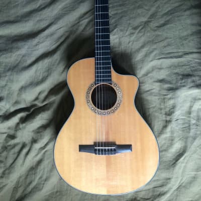 Taylor ns32ce clearance price