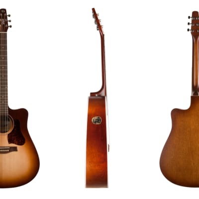 Seagull Entourage Dreadnought Autumn Burst New Old Stock image 2