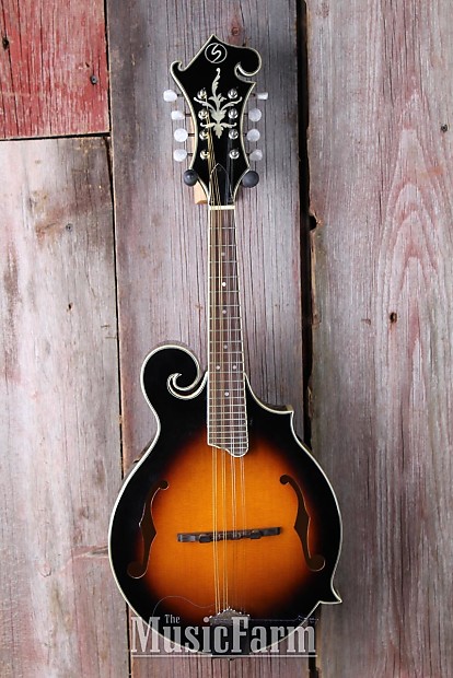 SAMICK おろす エレキ マンドリン