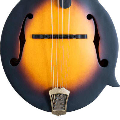 Washburn M108SWK Americana Series All Solid Carved Solid Sitka Top F-Style Mandolin w/Hardshell Case image 2