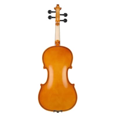 4/4 Acoustic Violin Full Size Basswood With Case Bow Rosin