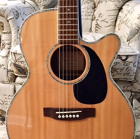 Takamine eg 460 clearance sc