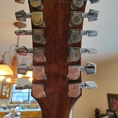 Ibanez 12 string Acoustic Guitar SGT122-NT  2014  w/ hardshell case image 2