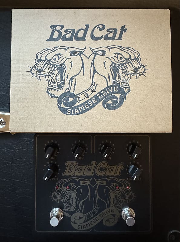 Bad Cat Siamese Dual Drive – Chicago Music Exchange