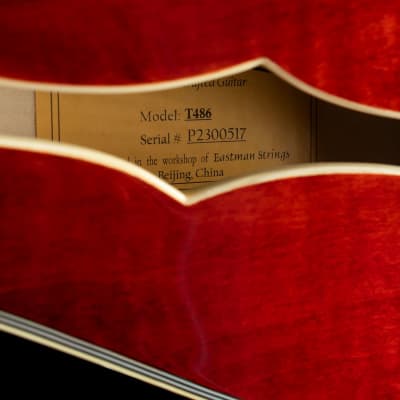 Eastman T486 Thinline - Classic - Free Shipping image 9