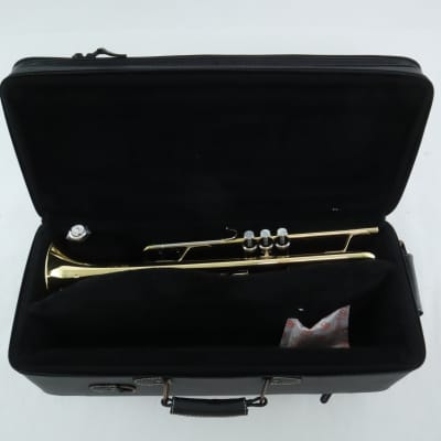 Schilke Model S22HD Professional Large Bore Trumpet SN 58004 GOLD PLATE |  Reverb