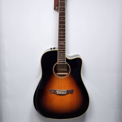 Tagima WS25EQ Dreadnought Cutaway Acoustic/Electric (New) image 2