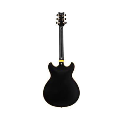 Ibanez John Scofield Signature 6-String Electric Guitar with Case (Black Low Gloss) image 4