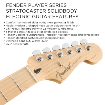 Fender Player Stratocaster, Maple - Tidepool Bundle with Hard Case, Cable, Tuner, Strap, Strings, Picks, Capo, Fender Play Online Lessons, and Austin Bazaar Instructional DVD image 3
