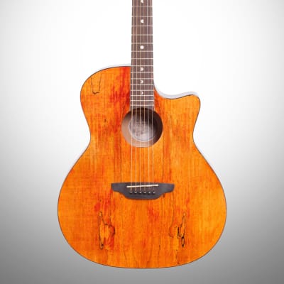 Luna Gypsy Grand Auditorium Acoustic Guitar, Exotic Spalted Maple image 2