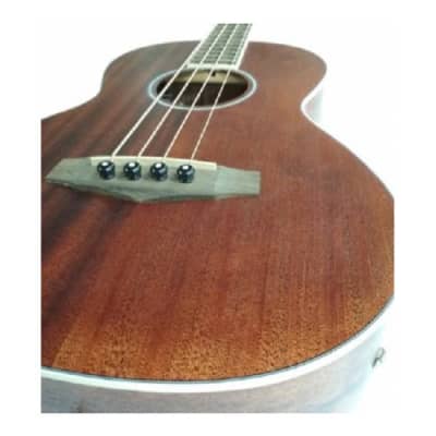 Ibanez PNB14E 4-String Acoustic/Electric Bass Guitar (Open Pore Natural) image 4
