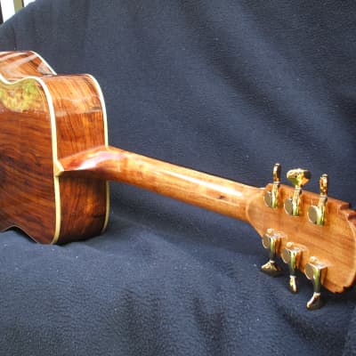 Special Edition dreadnought, torified european Spruce top granadillo rosewood back and sides, as seen on youtube hand made by Gary Montgomery. image 20
