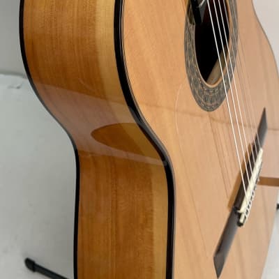 Casa Montalvo Fleta Model Flamenco Guitar 2024 - Nitro Gloss image 6
