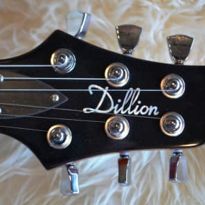 Dillion PRS Clone image 7