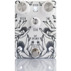 TOMKAT Pedals Day Dreamer Echo-Reverb image 1