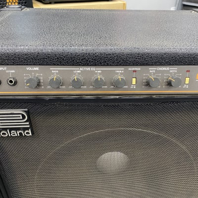 Roland BN-100 100W 1x15" Bass Combo Amplifier with Built-in Chorus image 3