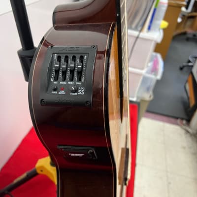 Salvador Ibanez GA60SCE-14-02 Acoustic Classical Electric Guitar with Case image 10