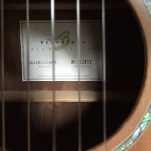 Breedlove AN250 CR/SYN  Natural image 3