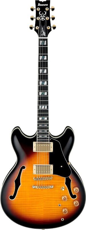 Ibanez JSM10 John Schofield Signature Semi-Hollow Electric | Reverb