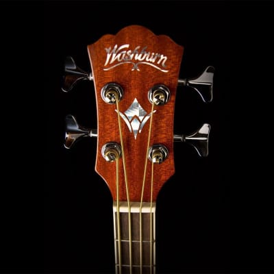 Washburn AB5K-A Acoustic-Electric Bass Guitar image 5