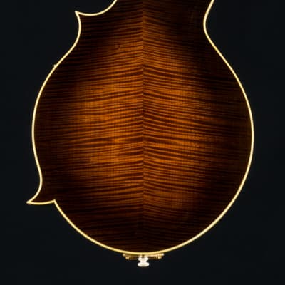 Hinde Heritage F German Spruce and Torrefied Flamed Maple Mandolin NEW image 5