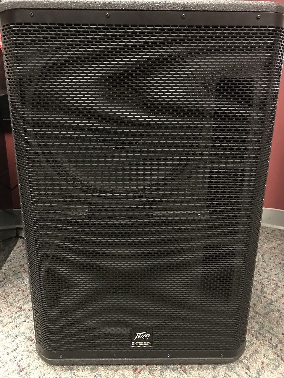 Peavey dual outlet 15 subwoofer
