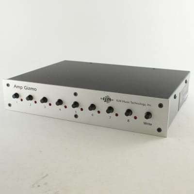 RJM Mini Amp Gizmo AG-2 [SN AG220071] (05/06) | Reverb Italia