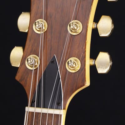 Fernandes BURNY MG-80X （MG-120X）BLK FERNANDES MG-80X Black [06/26] | Reverb