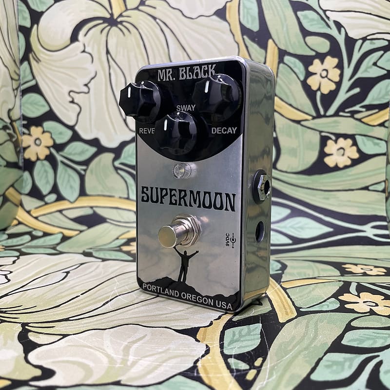 Mr. Black Supermoon Reverb | Reverb